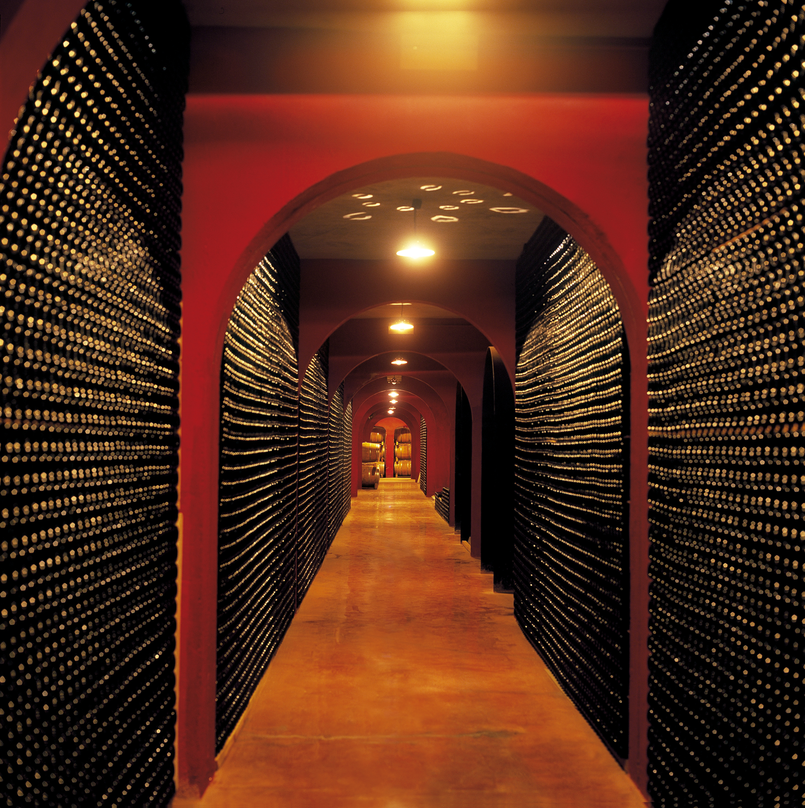 Pack de 6 botellas de Bodegas Macià Batle