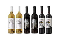 6 botellas vino Tinto Son Puig 2016 6 botellas vino Tinto Son Puig 2016